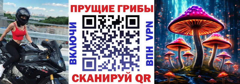 Псилоцибиновые грибы мицелий Бор