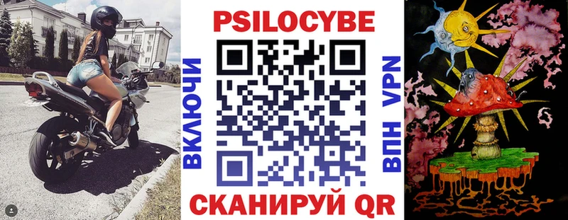 купить   Бор  Псилоцибиновые грибы Psilocybine cubensis 